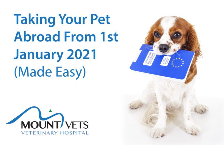 Mount Vets Pets | Taking your pet abroad