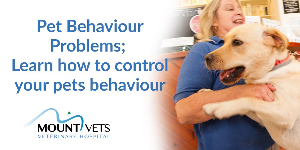 Pet Behaviour Problems; Learn How to Control Your Pets Behaviour