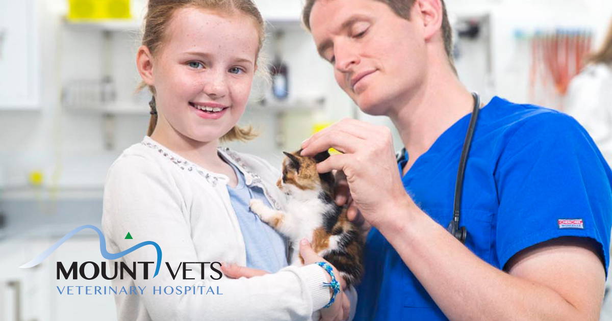 Mount Vets Pets Independent Wellington Vet Practice 01823 662286