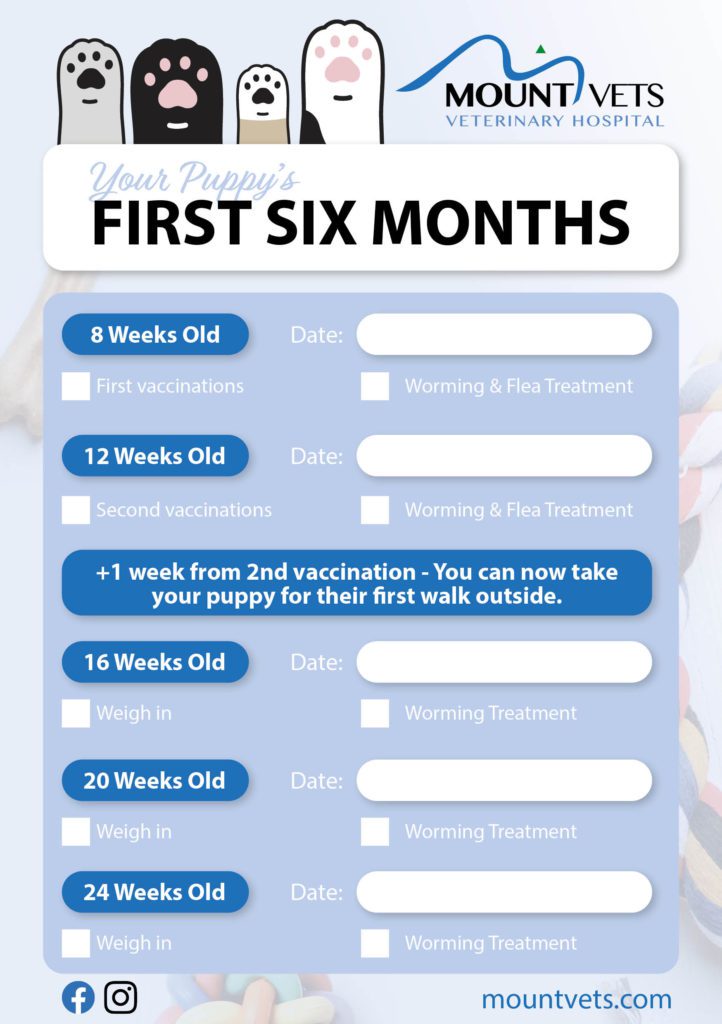 Mount Vets Pets | First 6 months Puppy Checklist 2