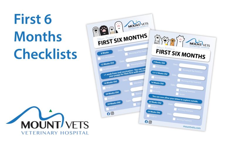Mount Vets Pets | First 6 months Puppy & Kitten Checklist