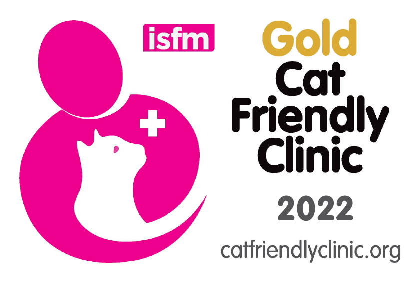 Cat Friendly Clinic at Mount Vets Pets