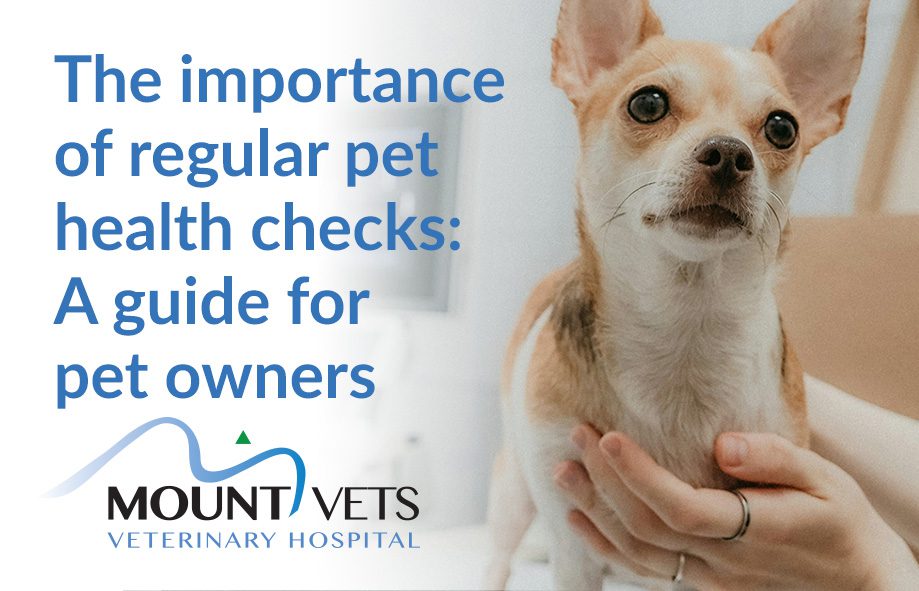 The importance of regular pet health checks