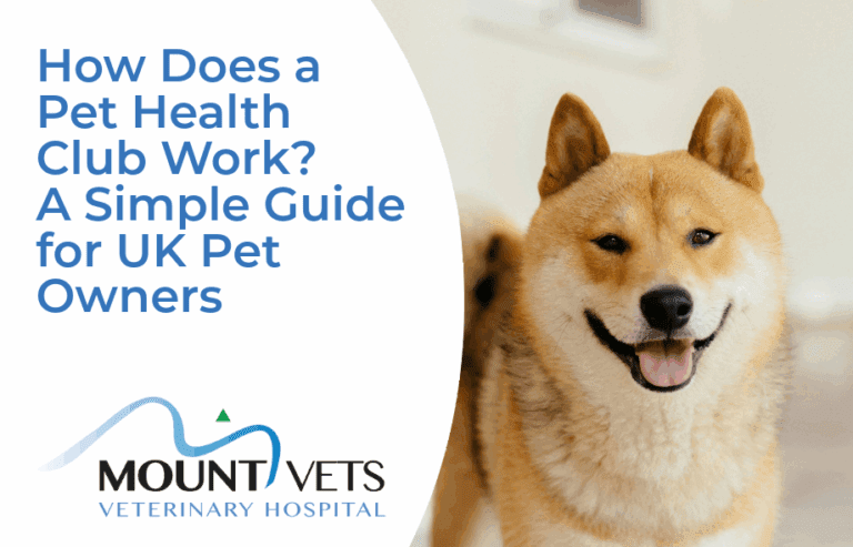 How does a pet health club work? | Mount Vets Pets