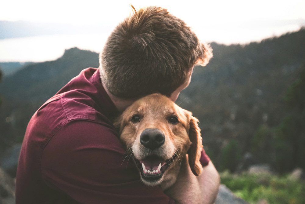 How does a pet health club work? | Mount Vets Pets